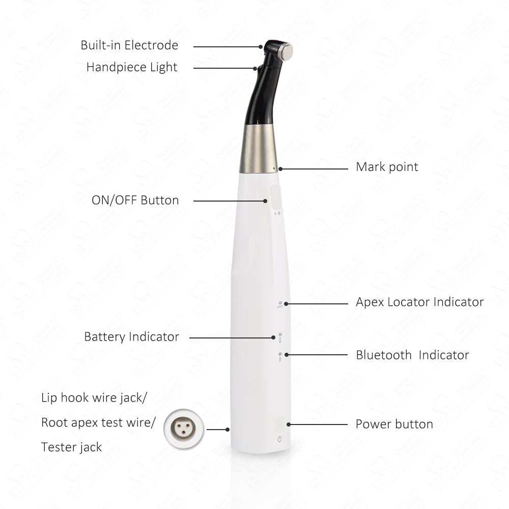 COXO Wireless Endo Motor Apex  - đánh giá và giá Dental Endo Motor Apex Locator
