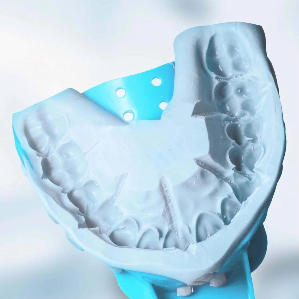 FULAIGE 6Pcs/Set Disposable De - đánh giá và giá Dental Impression Material Kit