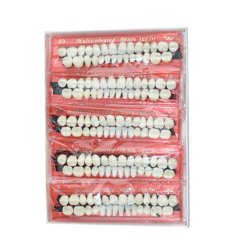 28 Teeth Dental Resin Denture  - đánh giá và giá Dental 3D Printer Resin