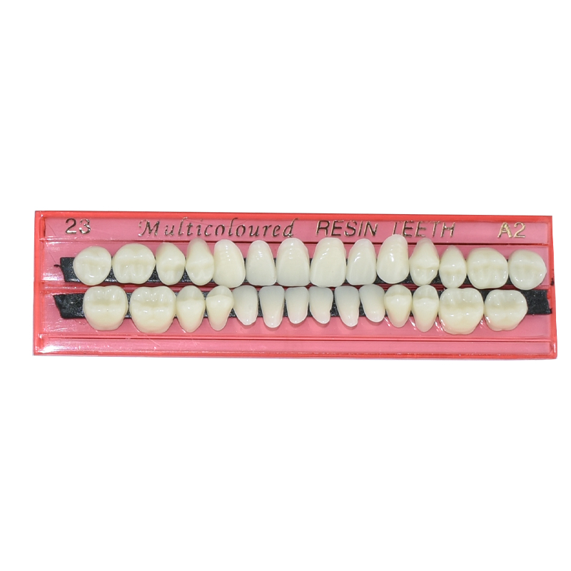 28 Teeth Dental Resin Denture  - đánh giá và giá Dental 3D Printer Resin