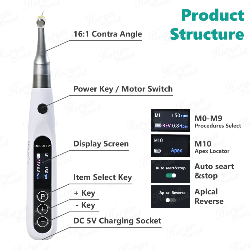 Horyn 2 In 1 Dental Wireless E - đánh giá và giá Dental Endo Motor Apex Locator