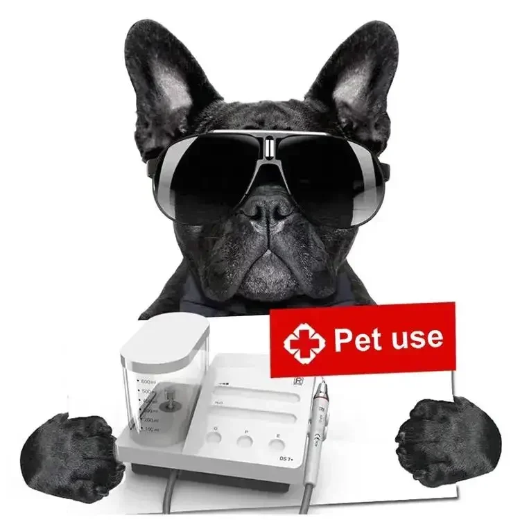 2025 LED Handpiece Pet Hospita - đánh giá và giá Dental Ultrasonic Scaler