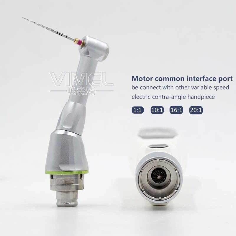 Whole Set Dental Apex Locator  - đánh giá và giá Dental Endo Motor Apex Locator