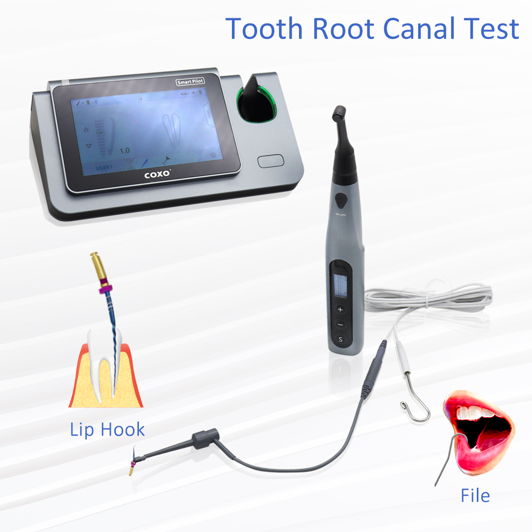 COXO Smart Endo Motor C-SMART  - đánh giá và giá Dental Endo Motor Apex Locator