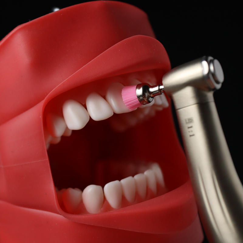 Dental Equipment Supply Low Sp - đánh giá và giá Dental Handpiece Low Speed